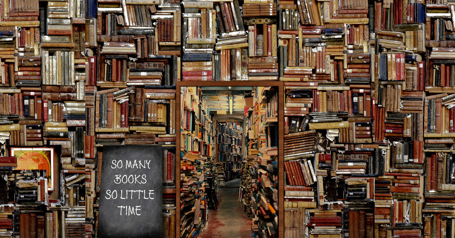Digging Bookshelf